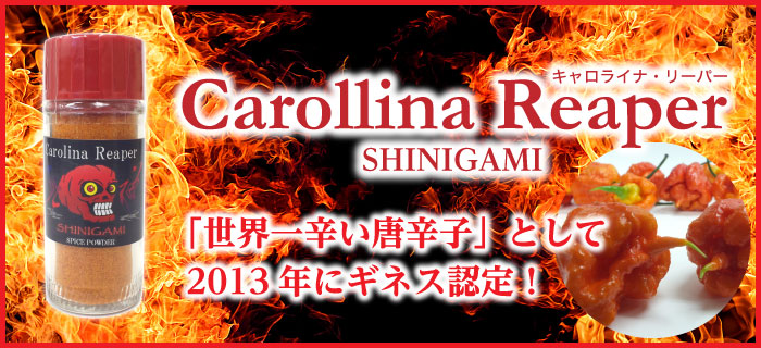 世界一辛い唐辛子「キャロライナ・リーパー」