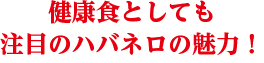健康食としても注目のハバネロの魅力!